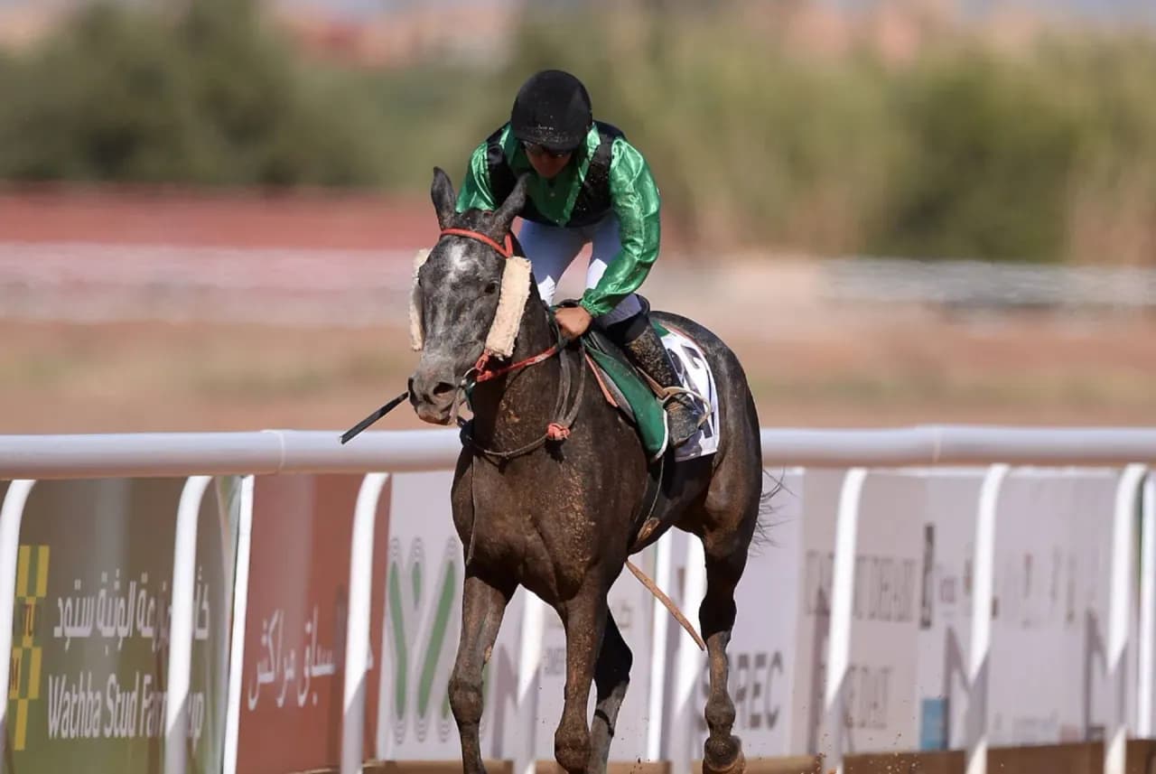 Jockey en pleine course