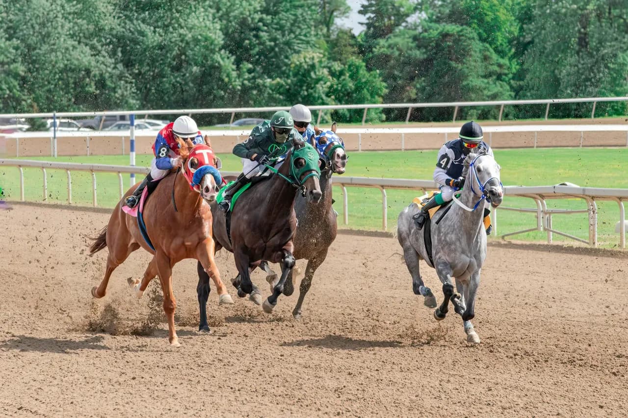 Chevaux au galop sur la piste